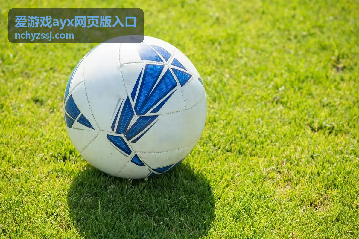 爱游戏ayx网页版入口指引分类封面