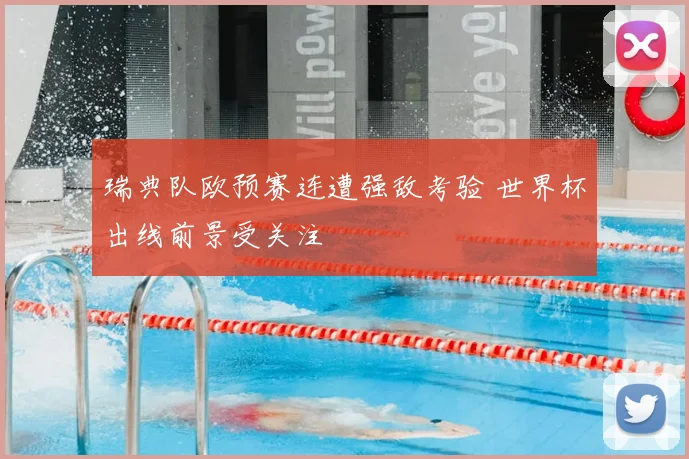 瑞典队欧预赛连遭强敌考验 世界杯出线前景受关注
