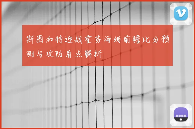 斯图加特迎战霍芬海姆前瞻比分预测与攻防看点解析