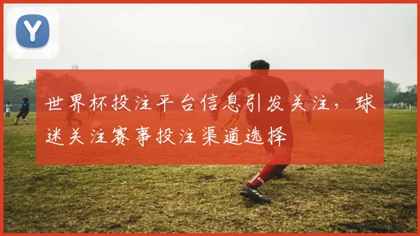 世界杯投注平台信息引发关注，球迷关注赛事投注渠道选择