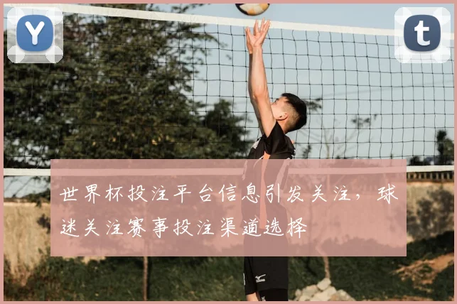 世界杯投注平台信息引发关注，球迷关注赛事投注渠道选择