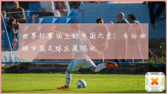 世界杯赛场上的中国元素:专访回顾中国足球发展现状