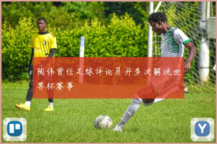 陶伟曾任足球评论员并多次解说世界杯赛事