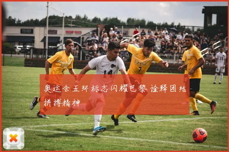 奥运会五环标志闪耀巴黎 诠释团结拼搏精神