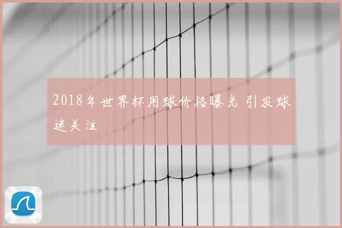 2018年世界杯用球价格曝光 引发球迷关注