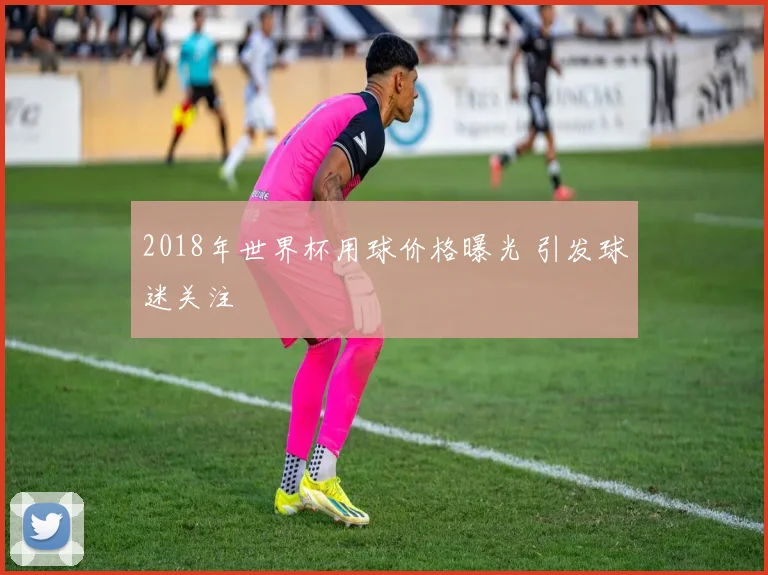 2018年世界杯用球价格曝光 引发球迷关注