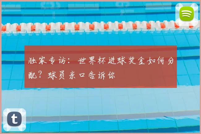 独家专访:世界杯进球奖金如何分配?球员亲口告诉你